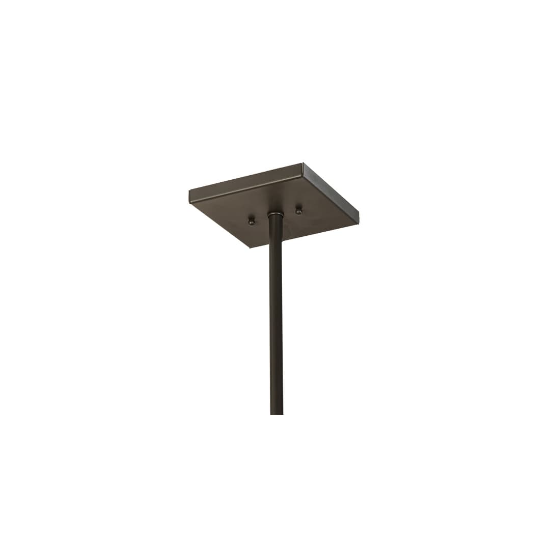 4 Light 20" Wide Pendant