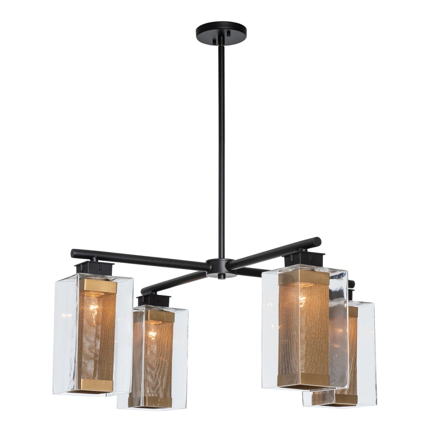 Polaris Outdoor 4-Light Pendant 4-Light Coastal Gold Accent Clear Glass (ZM) in Coastal Black