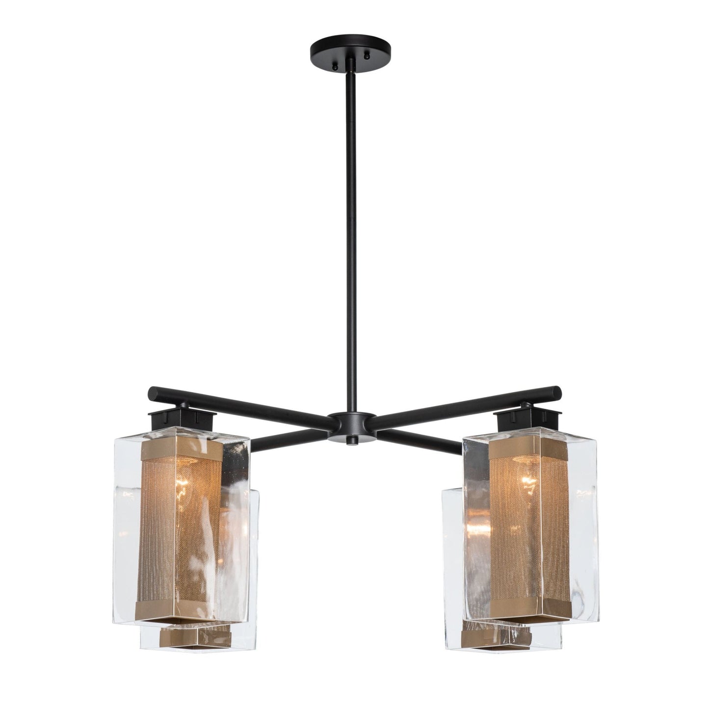 Polaris Outdoor 4-Light Pendant 4-Light Coastal Gold Accent Clear Glass (ZM) in Coastal Black