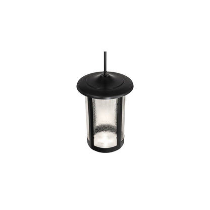 12" Wide Pendant